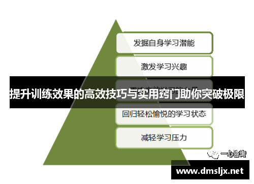 提升训练效果的高效技巧与实用窍门助你突破极限