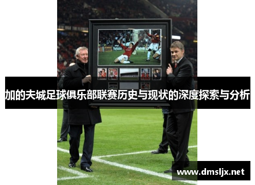 加的夫城足球俱乐部联赛历史与现状的深度探索与分析