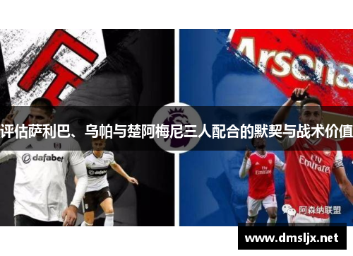 评估萨利巴、乌帕与楚阿梅尼三人配合的默契与战术价值