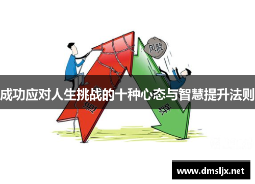 成功应对人生挑战的十种心态与智慧提升法则 成功应对人生挑战的十种心态与智慧提升法则