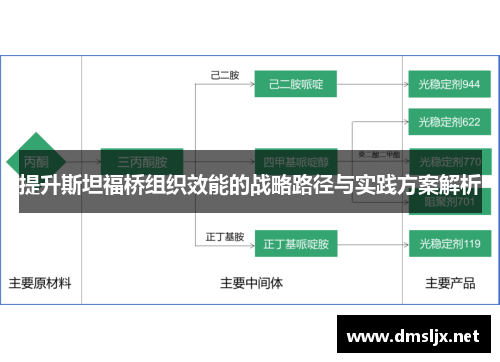 提升斯坦福桥组织效能的战略路径与实践方案解析 提升斯坦福桥组织效能的战略路径与实践方案解析