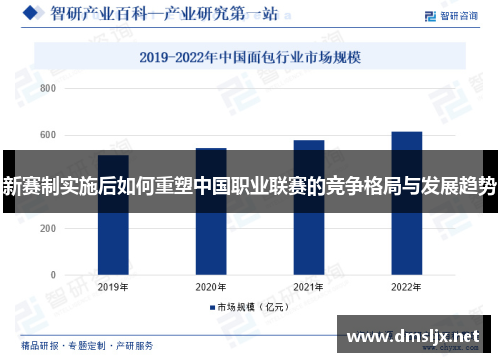 新赛制实施后如何重塑中国职业联赛的竞争格局与发展趋势