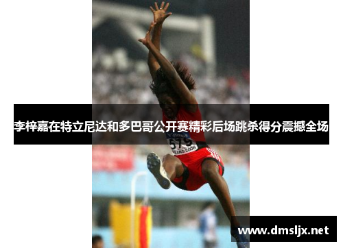 李梓嘉在特立尼达和多巴哥公开赛精彩后场跳杀得分震撼全场